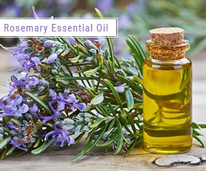 Rosemary essential oil for foot massage