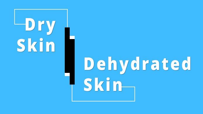 difference between dry and dehydrated skin