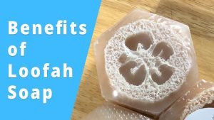 8 Surprising Loofah Soap Benefits