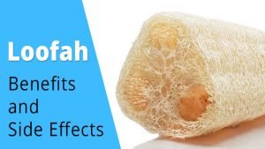 The Ultimate Loofah Benefits and Side Effects