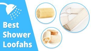 Best Type of Shower Loofah for a Refreshing Shower